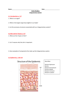 Integumentary sys. study guide