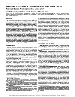 Modification of DNA Bases in Chromatin of Intact