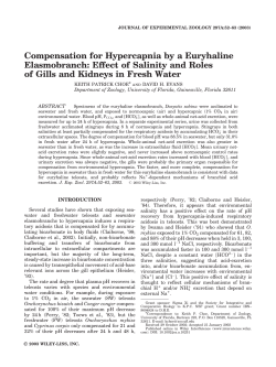 pdf copy - People - University of Florida