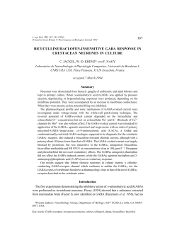 167 bicuculline/baclofen-insensitive gaba response in crustacean
