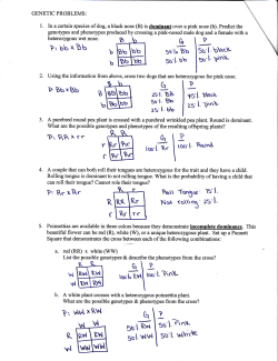P`RRxrr - Verona Public Schools
