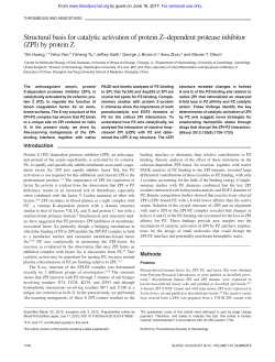 Structural basis for catalytic activation of protein Z&ndash;dependent