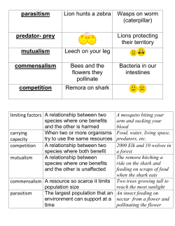 parasitism Lion hunts a zebra Wasps on worm