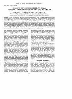 DIALECTS OF NORTHERN ELEPHANT SEALS, MIROUNGA