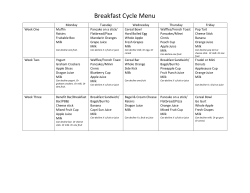 Breakfast Cycle Menu - School Nutrition and Fitness