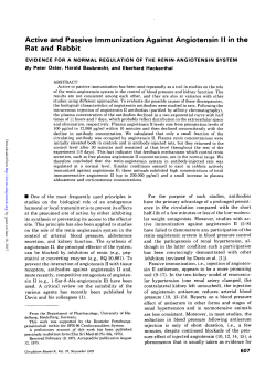 Active and Passive Immunization Against Angiotensin II in the Rat