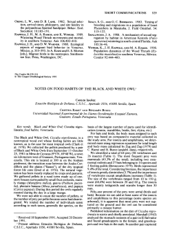 Notes on Food Habits of the Black and White Owl