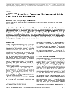 SCFTIR1/AFB-Based Auxin Perception: Mechanism
