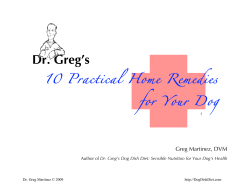 Practical Home Remedies for Dog