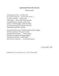 Agamemnon Enters the Lion Gate (Italian sonnet) Ten long years of