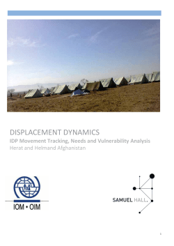 "IDP Movement Tracking, Needs and Vulnerability Analysis Herat