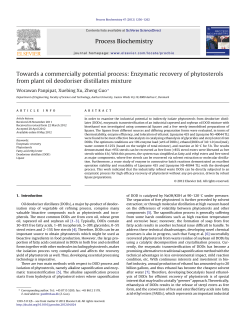 Towards a commercially potential process