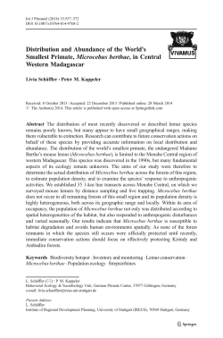 Distribution and Abundance of the World`s Smallest Primate