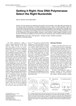 How DNA Polymerases Select the Right Nucleotide