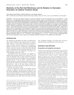 Elasticity of the Red Cell Membrane and Its