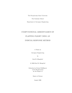 Computational Aerodynamics of Flapping Wings
