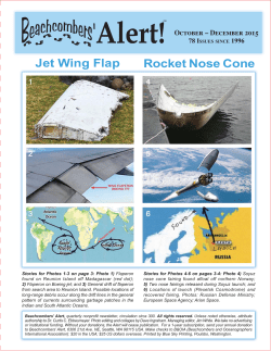 Rocket Nose Cone Jet Wing Flap