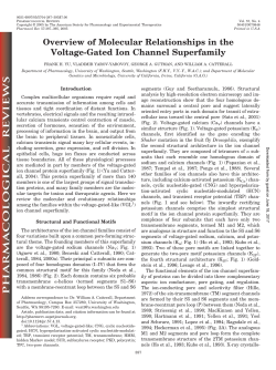 Overview of Molecular Relationships in the Voltage