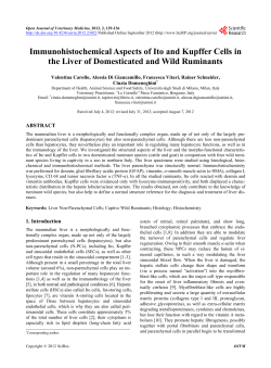 Immunohistochemical Aspects of Ito and Kupffer Cells in the Liver of