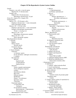 Chapter 28 The Reproductive System Lecture Outline