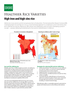 High-iron and high-zinc rice - IRRI