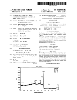 Fig. 5 - Rice Scholarship Home
