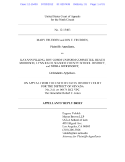 APPELLANTS` REPLY BRIEF