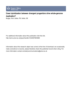 Does hybridization between divergent progenitors drive whole