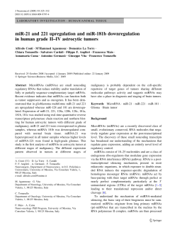 miR-21 and 221 upregulation and miR-181b
