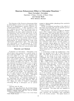 Emerson Enhancement Effect in Chloroplast