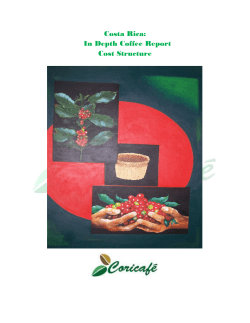Costa Rica: In Depth Coffee Report Cost Structure