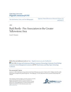 Bark Beetle - Fire Association in the Greater Yellowstone Area