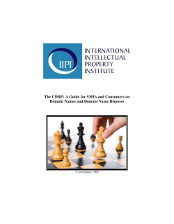 The UDRP: A Guide for SMEs and Consumers on Domain Names