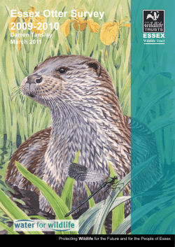 Essex Otter Survey 2009-2010