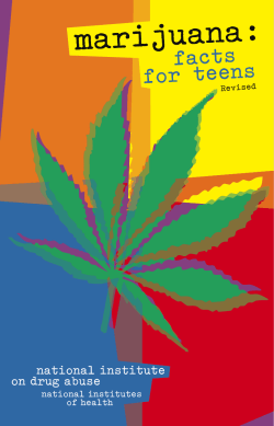 national institute on drug abuse