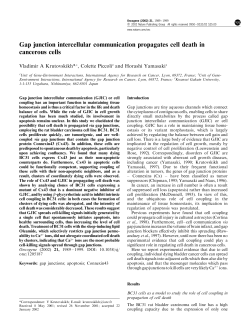 Gap junction intercellular communication propagates cell