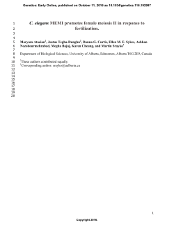 C. elegans MEMI promotes female meiosis II in response