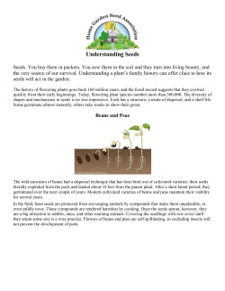Understanding Seeds - Home Garden Seed Association