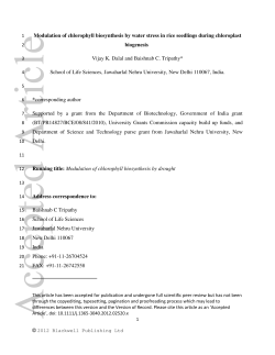 Modulation of chlorophyll biosynthesis by water stress in rice
