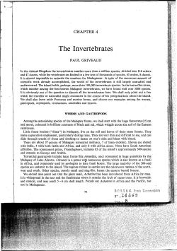 The invertebrates