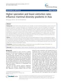 Higher speciation and lower extinction rates