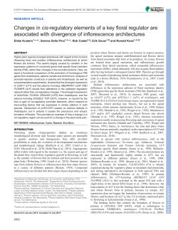 Changes in cis-regulatory elements of a key floral