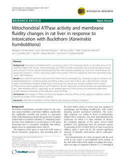 Mitochondrial ATPase activity and membrane fluidity