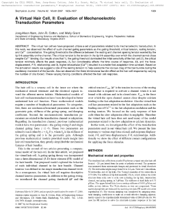 A Virtual Hair Cell, II: Evaluation of Mechanoelectric