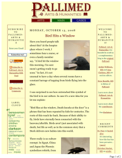 Bird Hits a Window - Hospice Volunteer Association