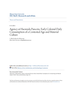 Agency at Hacienda Pancota: Early Colonial Daily Consumption of a
