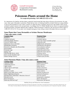 Poisonous Plants around the Home - Cornell Cooperative Extension