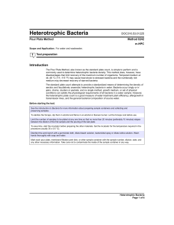 Heterotrophic Bacteria