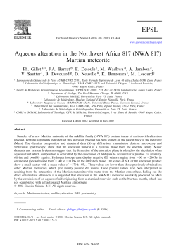 Aqueous alteration in the Northwest Africa 817