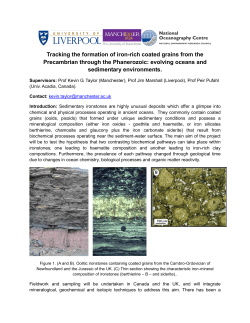 Tracking the formation of iron-rich coated grains